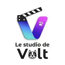 le studio de volt au vert pêcheur logo client formation site web marmignon brothers